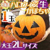 ハロウィン用かぼちゃの通販販売サイトを紹介！食べられるけど美味しくない？