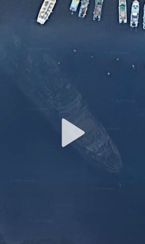 Tiktokの沈没船は本物 Googleマップのバグ 詳細を調査