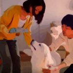 Acジャパンcmの白い犬の犬種は 出演女優も紹介